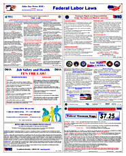 2019 Tennessee and Federal Labor Law Poster 